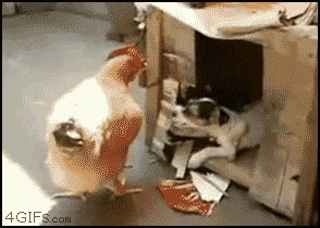 g3jefc.gif
