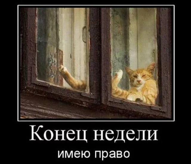 g4aajf.webp