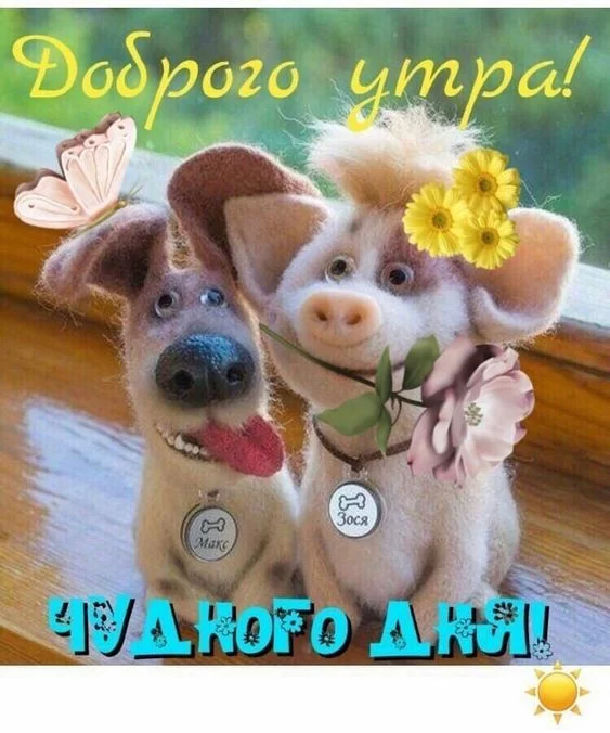 g4abjc.webp