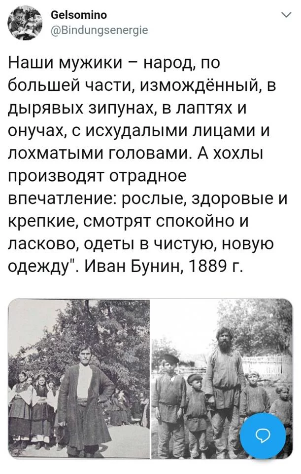 g4dhbf.webp