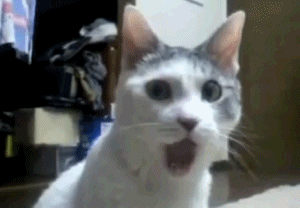 g4hjah.gif
