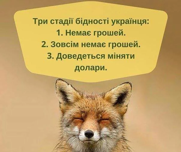 g4jdjf.webp