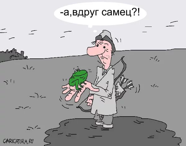 g5ehbe.webp