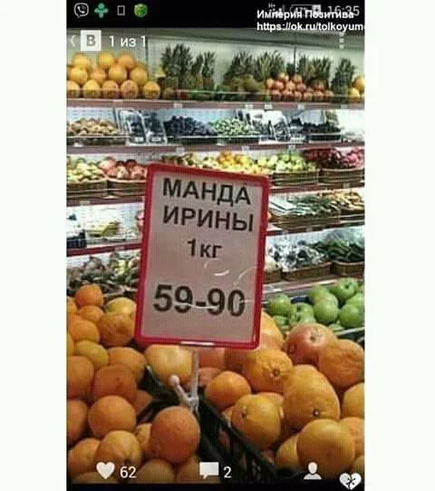 g5gfjg.webp