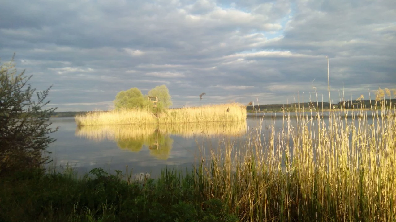 g5hdcf.webp