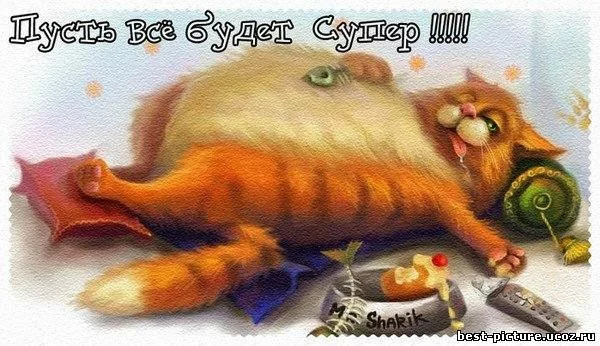 g6decg.webp