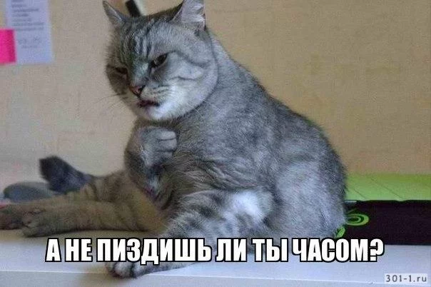 g6fcfa.webp