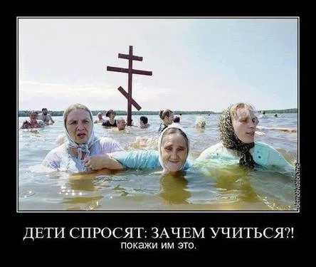 g6hhja.webp