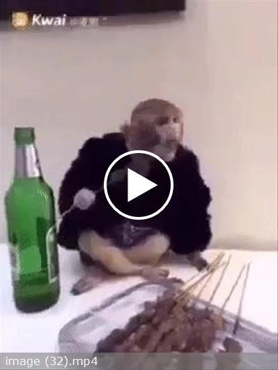 g7debj.webp