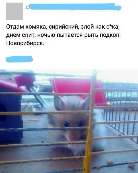 g7egeh.webp