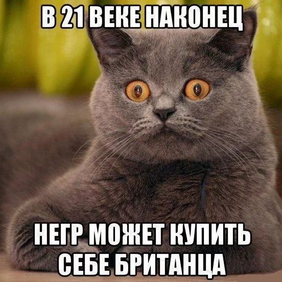 g7ywCgbs4oI.webp