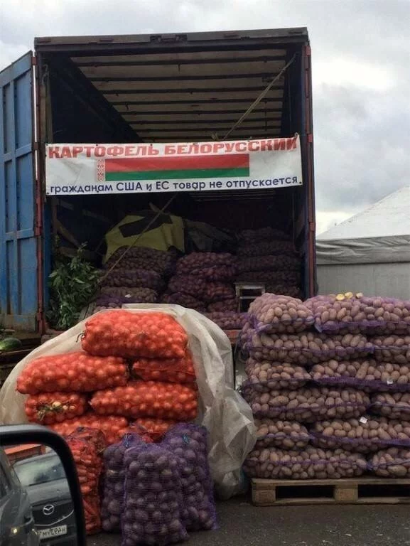 g8ceVgOdU4E.webp