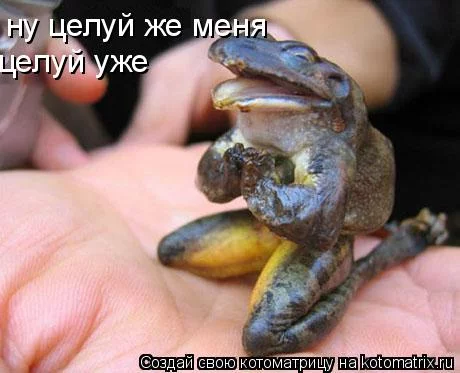g8ejcf.webp