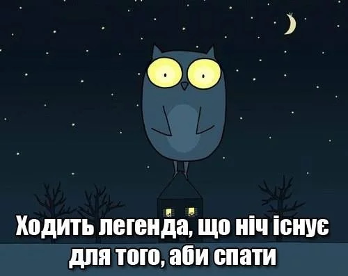 g9bdjj.webp