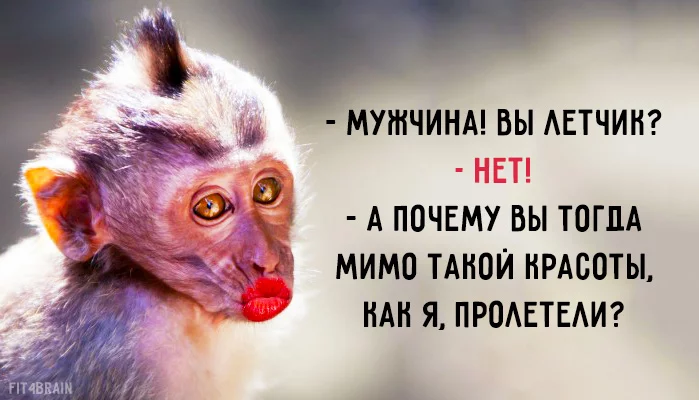 g9dggh.webp