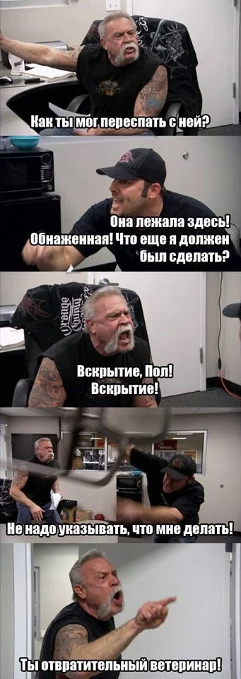 g9jdgd.webp