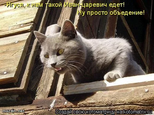ga0eef.webp