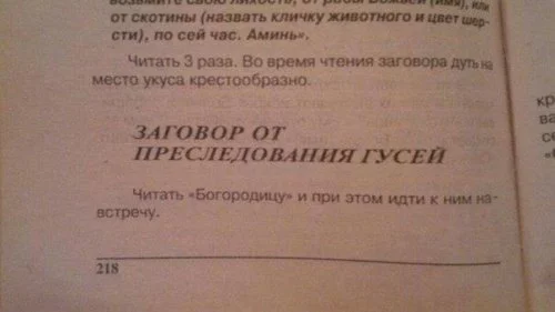 ga6ebd.webp
