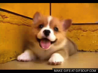 gab4ff.gif
