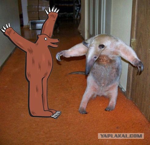 gabgf5.jpg
