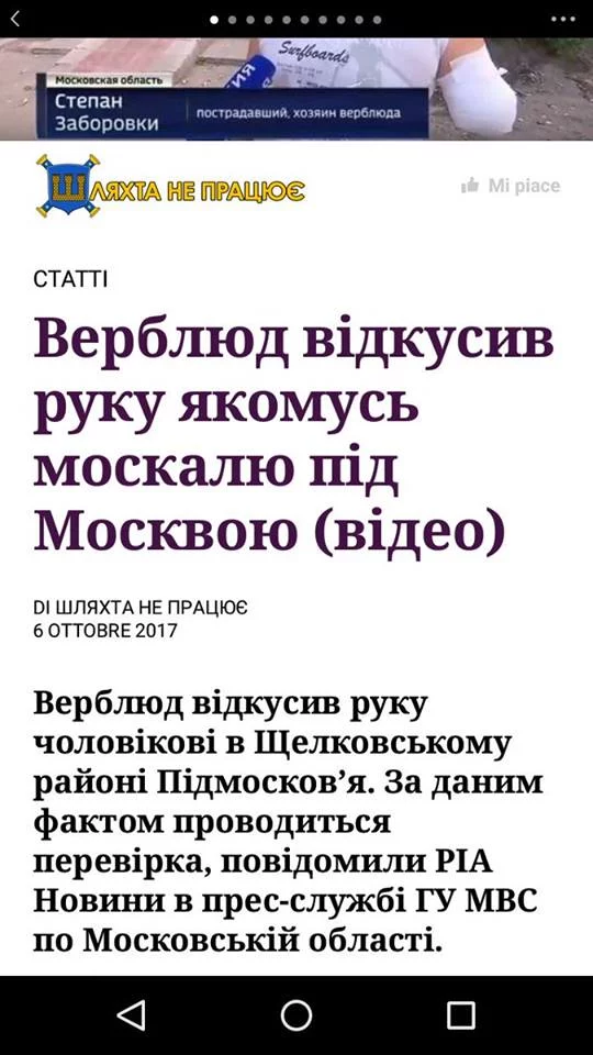 gabjf1.webp