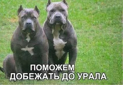 gacab2.webp