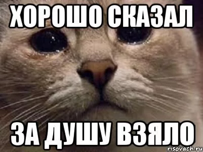 gadc4h.webp