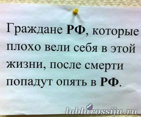gagad0.webp