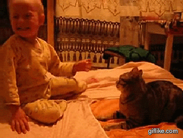 gah4fe.gif