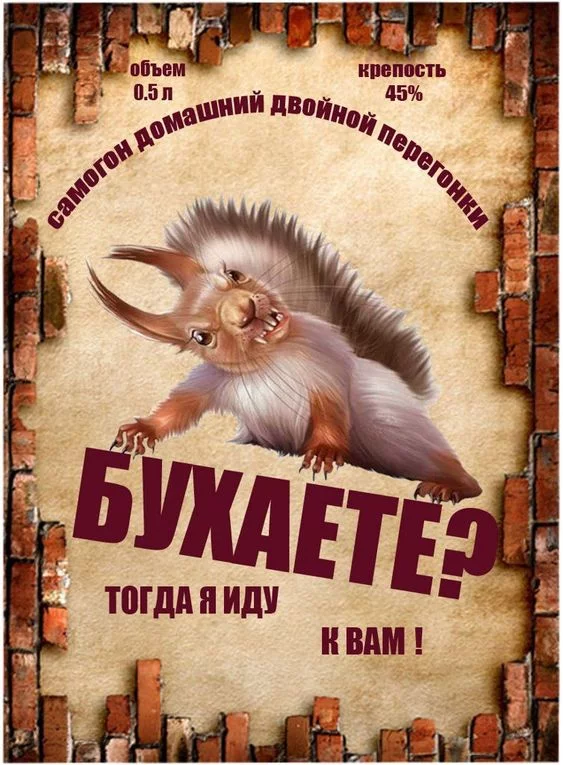 gaj4ef.webp