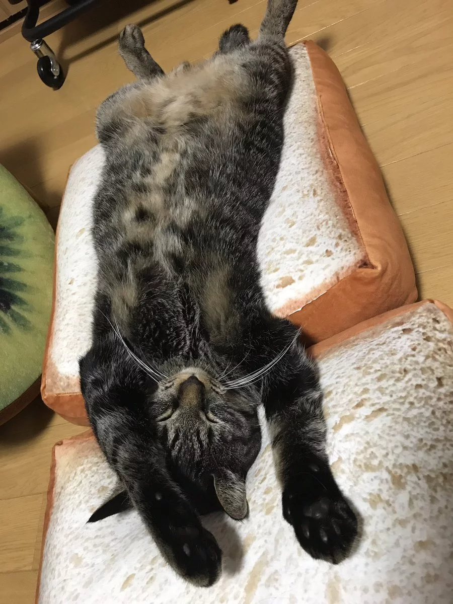 gajcj0.webp