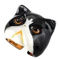 gan-cat-ring-jumpoon.webp