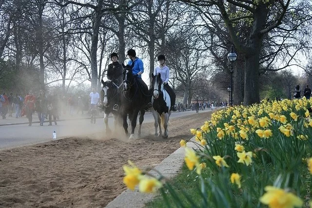gayd-park-16.webp
