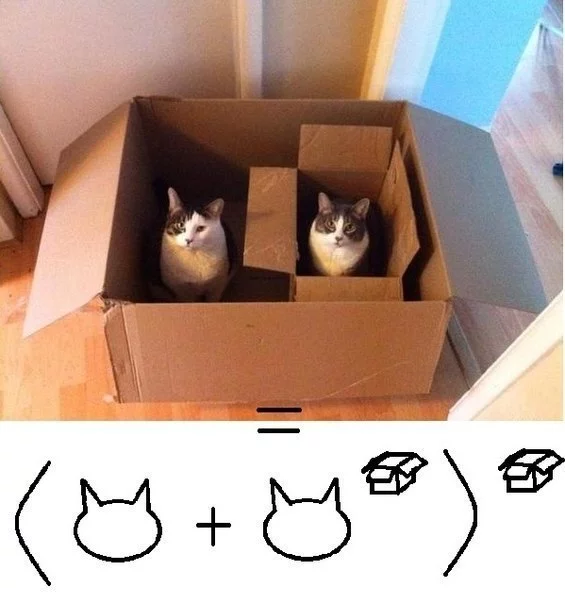 gAZXDetSLHc.webp