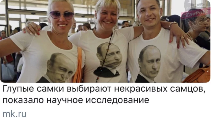 gb7ccd.webp