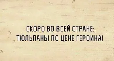 gbaac2.webp