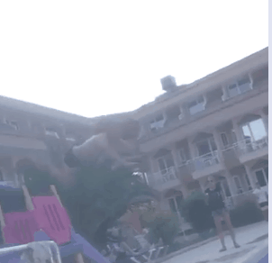gbbd4d.gif