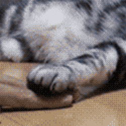 gbc0bd.gif
