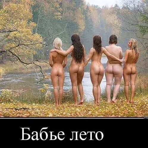 gbcca0.webp