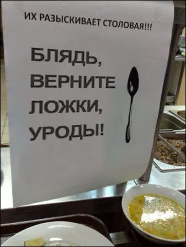 gbd8fh.webp