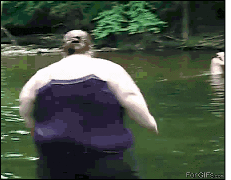 gbee8a.gif