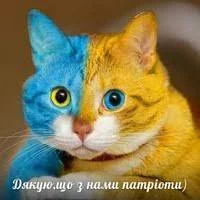 gbef0f.webp