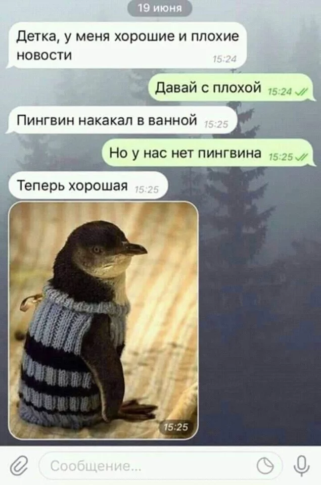 gbh0bc.webp