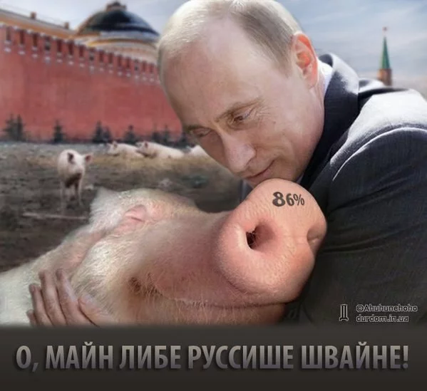 gbh5bh.webp