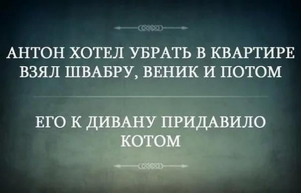 gbhha2.webp