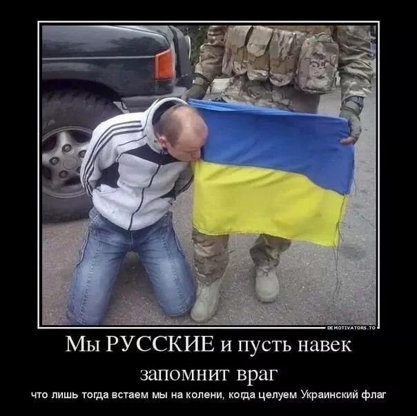 gc1bde.webp