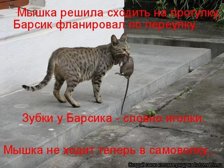 gca4bc.webp
