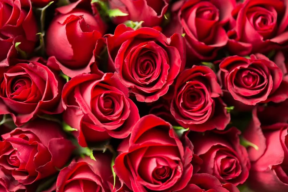 gcbb3d.webp