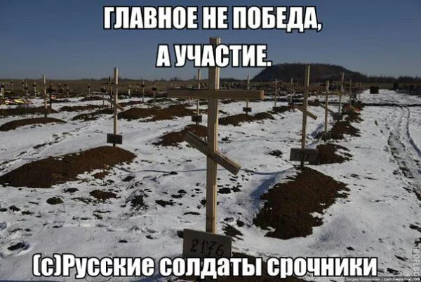 gccj0c.webp