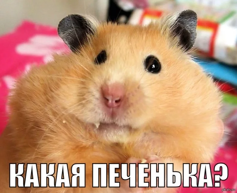 gcd9je.webp